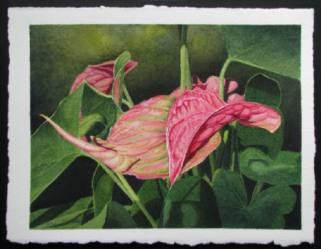 Anthurium Finished