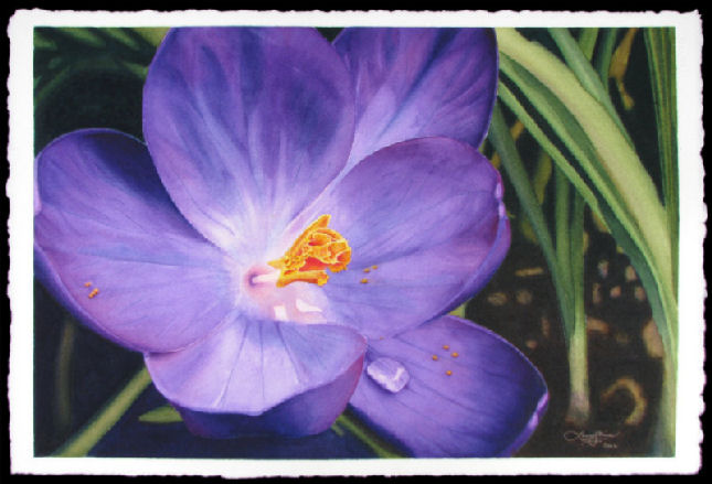 Crocus - finished