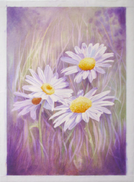 Daisies 4