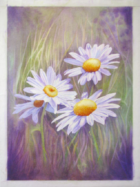 Daisies 5