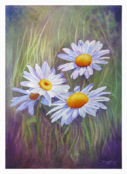 Daisies 6